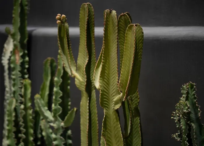 Aval 아파트호텔 4*